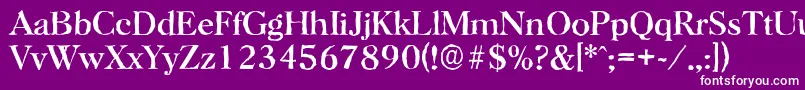 HorshamantiqueRegular Font – White Fonts on Purple Background