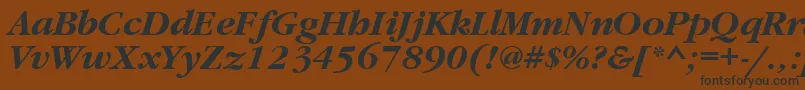 GaramondbttBolditalic Font – Black Fonts on Brown Background