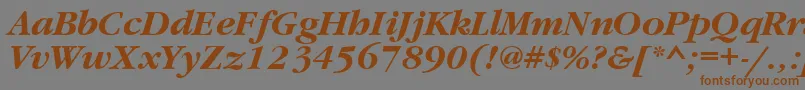 フォントGaramondbttBolditalic – 茶色の文字が灰色の背景にあります。