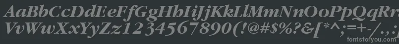 フォントGaramondbttBolditalic – 黒い背景に灰色の文字