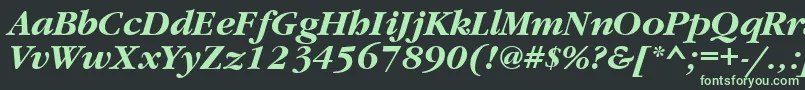 フォントGaramondbttBolditalic – 黒い背景に緑の文字