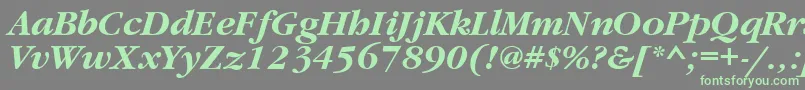 GaramondbttBolditalic Font – Green Fonts on Gray Background