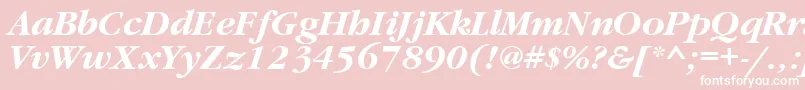 GaramondbttBolditalic Font – White Fonts on Pink Background