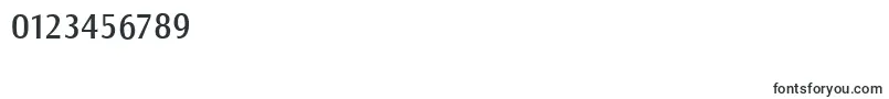 CanossaBook-Schriftart – Schriften für Zahlen und Nummern