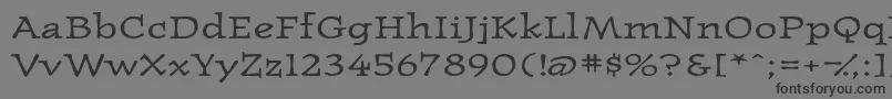 Westernpressexpandedssk Font – Black Fonts on Gray Background