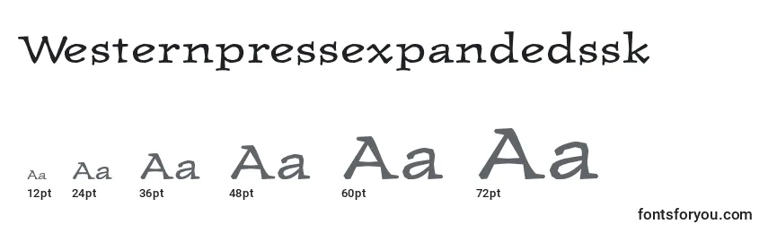 Размеры шрифта Westernpressexpandedssk
