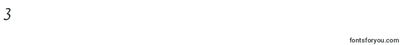 FedraserifaproBookitalic Font – Fonts for Digit 3