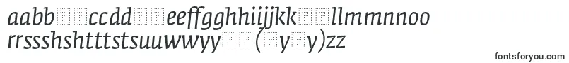 FedraserifaproBookitalic-Schriftart – haussa Schriften