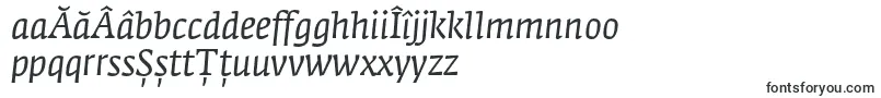 FedraserifaproBookitalic-Schriftart – rumänische Schriften