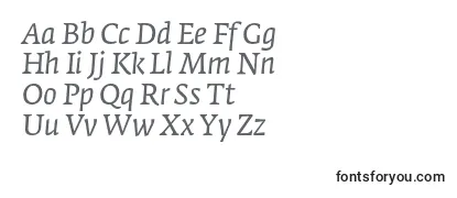 Review of the FedraserifaproBookitalic Font