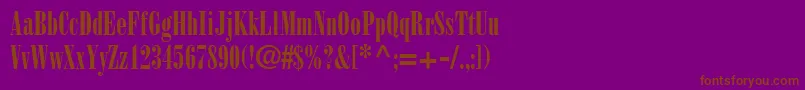 BodoniPosterCondensedSsiPosterCondensed Font – Brown Fonts on Purple Background