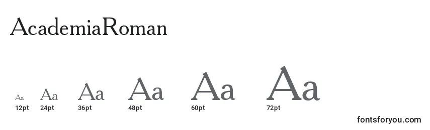 AcademiaRoman Font Sizes