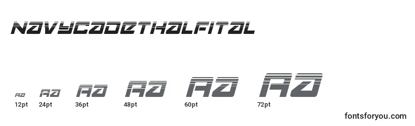 Navycadethalfital Font Sizes