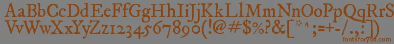 Fepirm2 Font – Brown Fonts on Gray Background