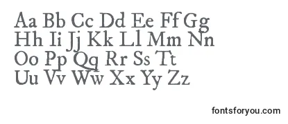 Обзор шрифта Fepirm2