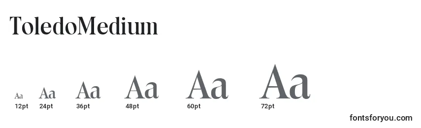 ToledoMedium Font Sizes