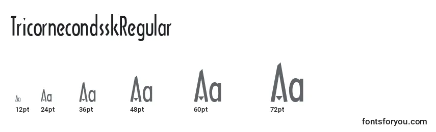 TricornecondsskRegular Font Sizes