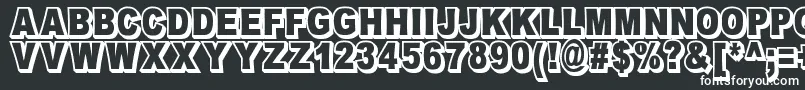 OmniblackOutlineDemo Font – White Fonts on Black Background