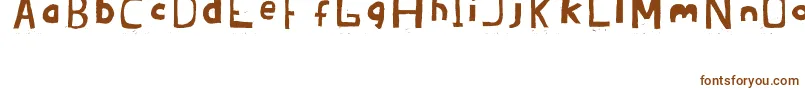 Brandon02ErcJuly2008 Font – Brown Fonts