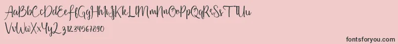 Firdaus Font – Black Fonts on Pink Background