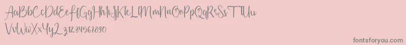 Firdaus Font – Gray Fonts on Pink Background