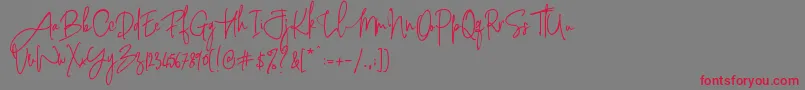 フォントPinkScriptR1 – 赤い文字の灰色の背景