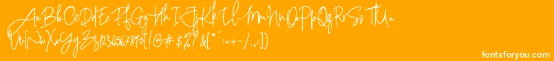 PinkScriptR1 Font – White Fonts on Orange Background