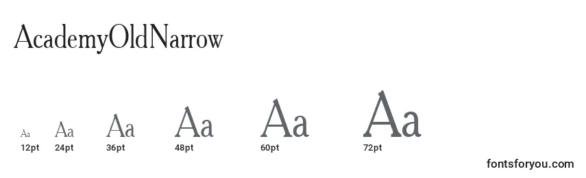 Размеры шрифта AcademyOldNarrow