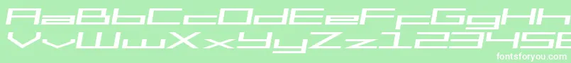 SfSquareHeadExtItalic Font – White Fonts on Green Background