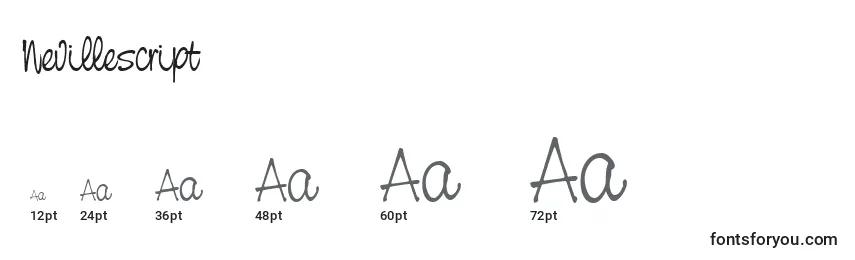 Размеры шрифта Nevillescript