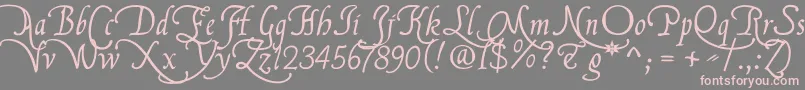 Flbrsa1 Font – Pink Fonts on Gray Background