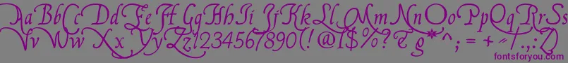 Flbrsa1 Font – Purple Fonts on Gray Background