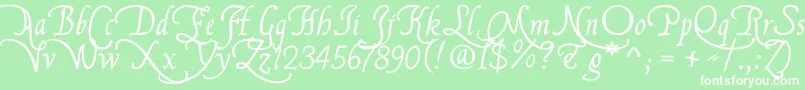 Flbrsa1 Font – White Fonts on Green Background