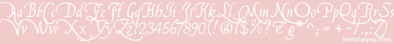 フォントFlbrsa1 – ピンクの背景に白い文字