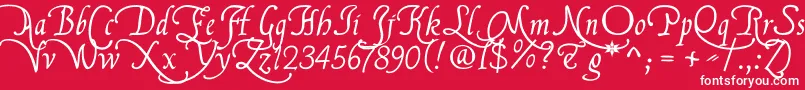 Flbrsa1 Font – White Fonts on Red Background
