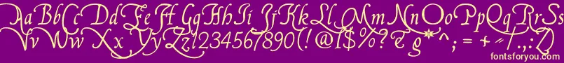 Flbrsa1 Font – Yellow Fonts on Purple Background