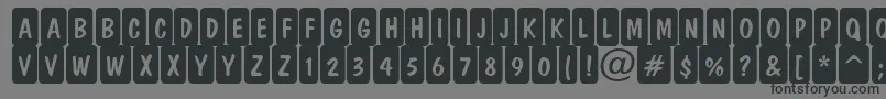 ADominocmrndcrn Font – Black Fonts on Gray Background