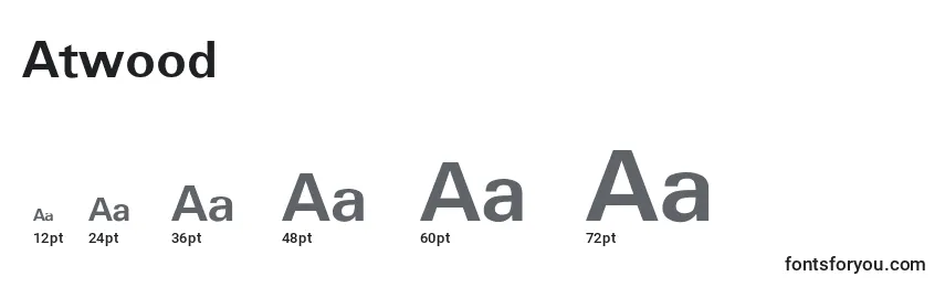Размеры шрифта Atwood