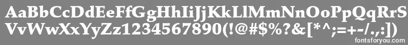 フォントPalatinoltstdBlack – 灰色の背景に白い文字