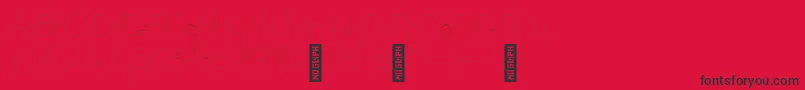 AdelaideHairline Font – Black Fonts on Red Background