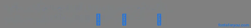 AdelaideHairline Font – Blue Fonts on Gray Background