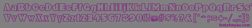 BleucherRegular Font – Purple Fonts on Gray Background