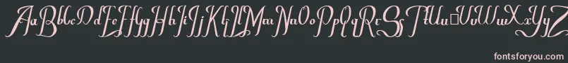 More about Chancera Font Chancera Font – Pink Fonts on Black Background