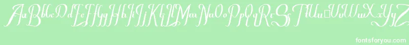 Chancera Font – White Fonts on Green Background