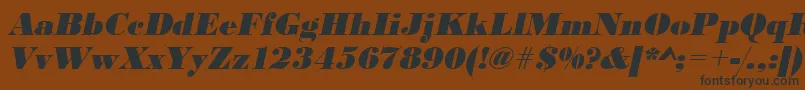 UrwbodonidextbolOblique Font – Black Fonts on Brown Background