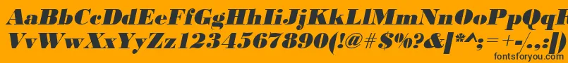 UrwbodonidextbolOblique Font – Black Fonts on Orange Background