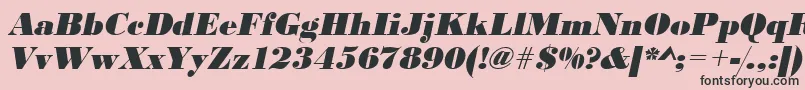 UrwbodonidextbolOblique Font – Black Fonts on Pink Background
