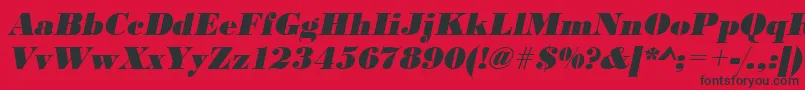 UrwbodonidextbolOblique Font – Black Fonts on Red Background