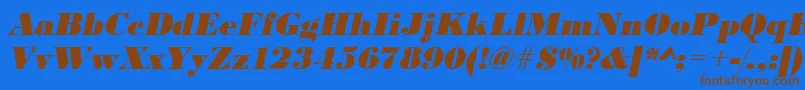 UrwbodonidextbolOblique Font – Brown Fonts on Blue Background