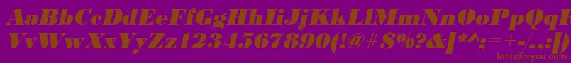 UrwbodonidextbolOblique Font – Brown Fonts on Purple Background